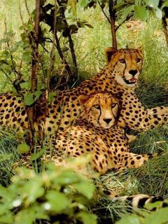 Other Wallpapers 0710